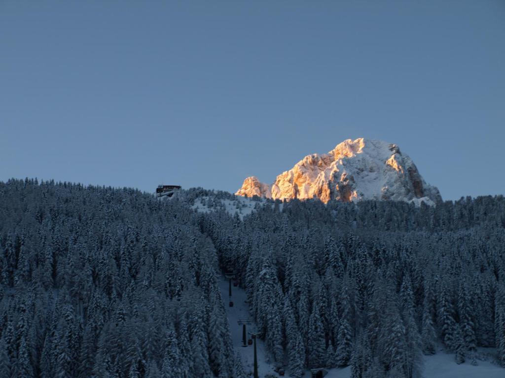 Garni Flurida Acomodação com café da manhã Selva di Val Gardena Exterior foto